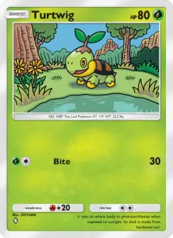 Tortipouss
