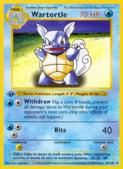 Tortuga de guerra