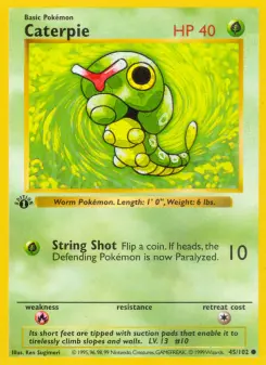 oruga