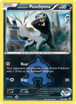 Team Aquas Poochyena