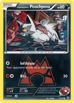 Team Magmas Poochyena