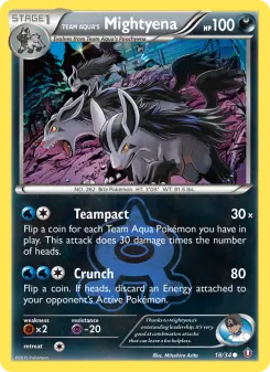 Team Aquas Mightyena