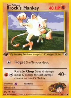 Mankey de Brock