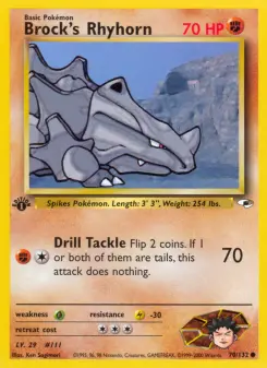 Rhyhorn de Brock