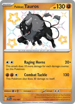Paldea-Tauros