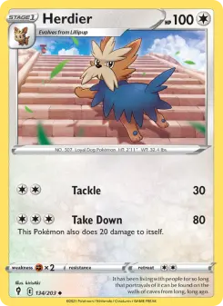 Terribark